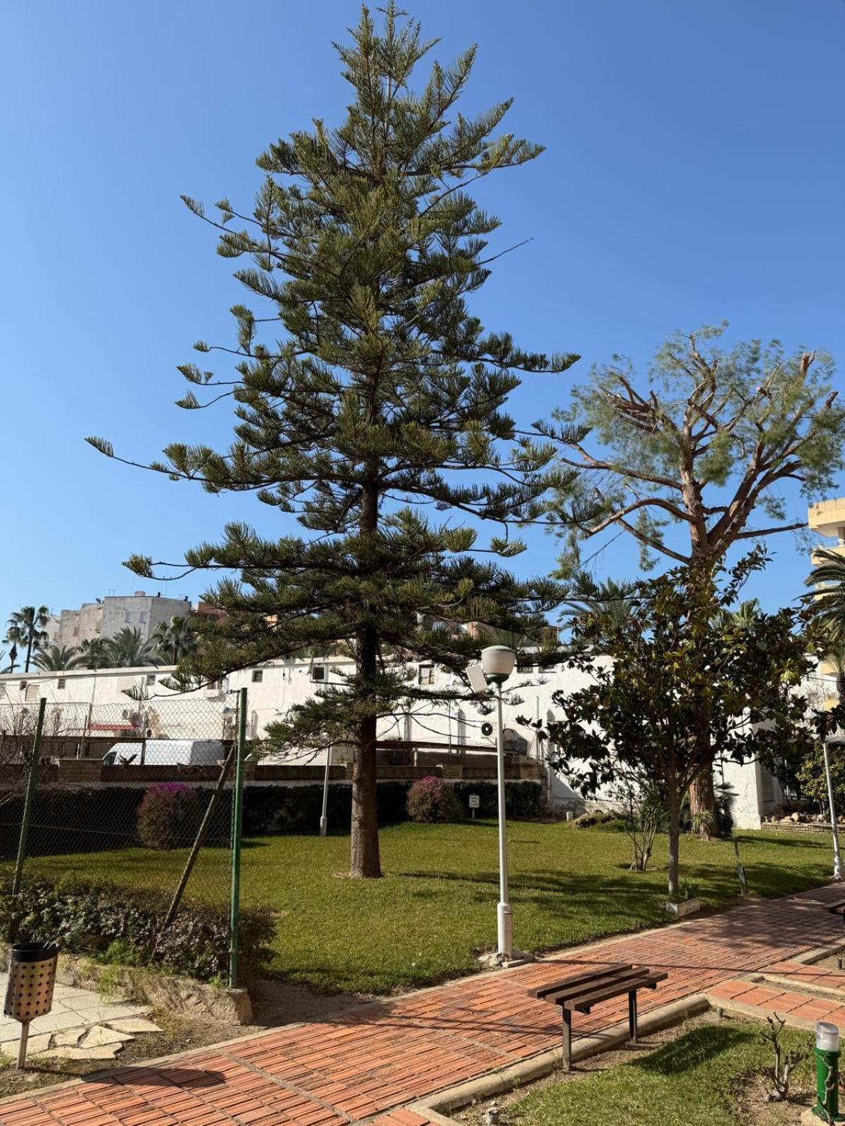 Apartamentos Hesperia Palmyra 살루 외부 사진